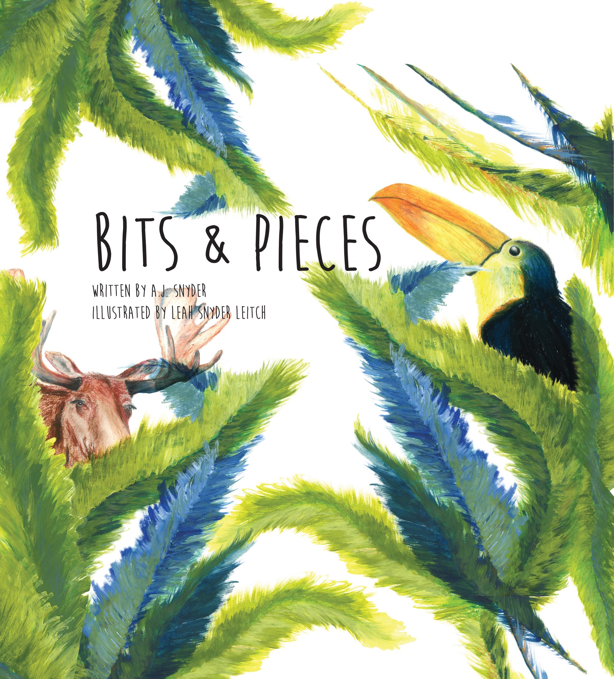 Bits & Pieces,by A.J. Snyder and illustrated by Leah Snyder Leitch.