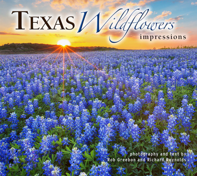 Cover_Texas Wildflowers Impressions